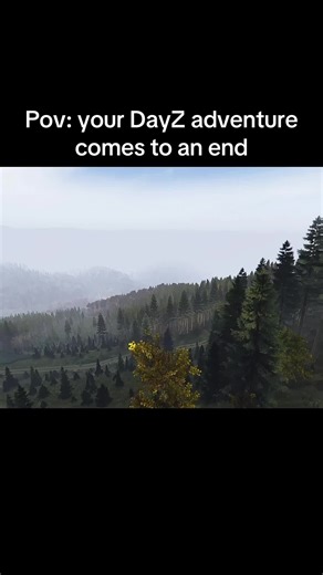 DayZ Survival Adventure: The Final Moments