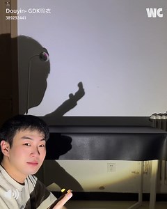 2.1M views · 41K reactions | Behind the Curtain: Shadow Illusions | Watercooler | Facebook