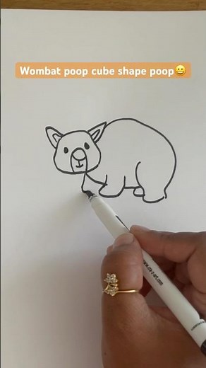 How To Draw Wombat Step By Step #easydrawing 😊
