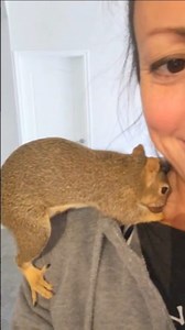 705K reactions · 5.6K comments | POV: you have unlocked the level of Squirrel Savings Account and are now a proud member of both the FTIC (Forest Treasure Insurance Corporation) and the ASIF (Acorn Security & Investment Fund) ️ #claude #babysquirrel #squirrellove #savingsaccount #investingtips | Erica Vetra | Facebook