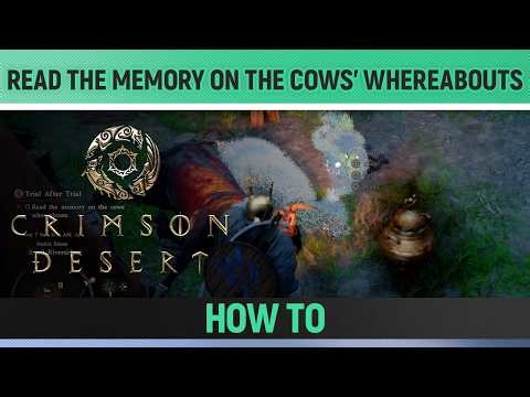 Crimson Desert - Read the memory on the cows' whereabouts - How to