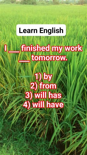 Basic English test #reelsvideoシ #fblifestyle #grammar | Prio School