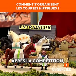Comment s'organisent les courses de chevaux ? 🐎 Abonnez-vous et retrouvez un épisode C'est pas sorcier tous les jours à 22h ! | C'est pas sorcier