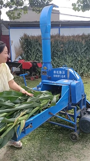 Chaff Cutter: Essential Agricultural Machinery for Farmers