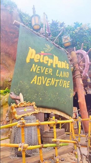 【東京ディズニーシー】おじさん達もピーターパンと一緒にネバーランド大冒険！