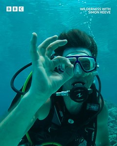 The most epic expeditions possible 😨 Watch Simon Reeve's #Wilderness on #iPlayer now | BBC One