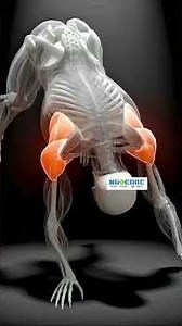 Full-Body Stretch: Exercises for a Flexible Spine and Reduced Stiffness