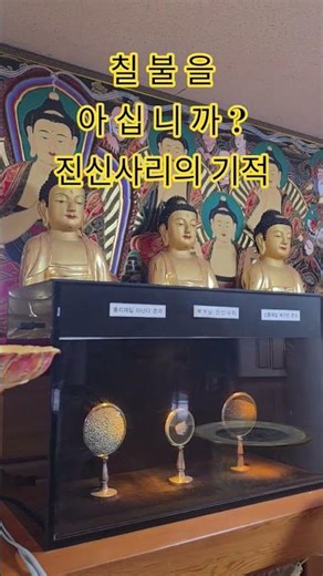 Do you know the Seven Buddhas? The energy of the True Relics at Jeju Peace Unification Buddha Rel...