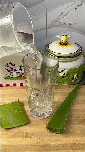 🌿 ¡Cuida tu interior con el poder de la sábila!