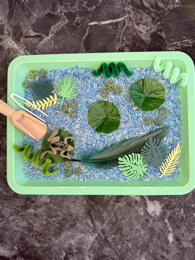 Fun Frog Theme Sensory Tray Kit (tray Included)- Small - Etsy