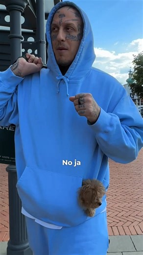 Semtex Energy on Reels