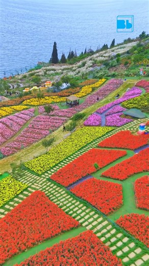 beautiful landscape of flowers | Blue Box