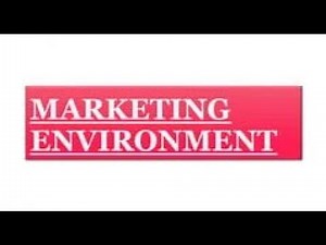 3. The Marketing Environment