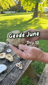 21 reactions · 3 comments | Geode June Day 12 #geodeornodule #geodejune #geode | RockHunter Mark | Facebook