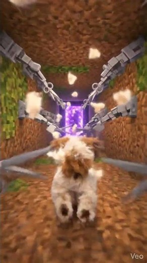 Shih Tzu This Dog Just Became a Minecraft Character 🐾