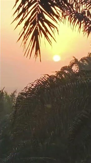 Sun set time #runnerblade9207