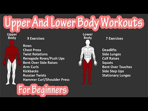 Upper And Lower Full Body Strength Resistance Training Workout Splits Plan For Beginners