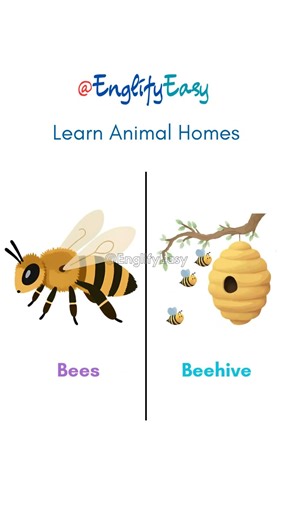 Animal Homes in English | Learn the Correct Names