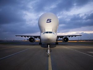 Airbus Beluga Transport