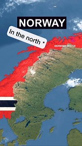 Norway (in the north) 🇳🇴 All the amazing animals 🦌 1. En elg (a moose) 2. Mygg (mosquito) 3. Et reinsdyr (a reindeer) 4. En isbjørn (a polar bear) 5. En sel (a seal) 6. En ulv (a wolf) #learnnorwegian #speaknorwegian #norwegianlanguage #norwegian #norwegianculture | Norwegian with Tor
