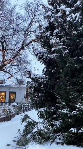 Celebre la Navidad con este video invernal lleno de alegría