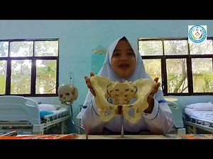 Anatomi panggul pada wanita dan Konjugata serta bidang hodge