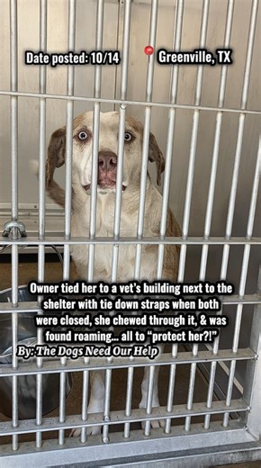 2.6K reactions · 296 comments | Please watch 20+ sec, interact, &...