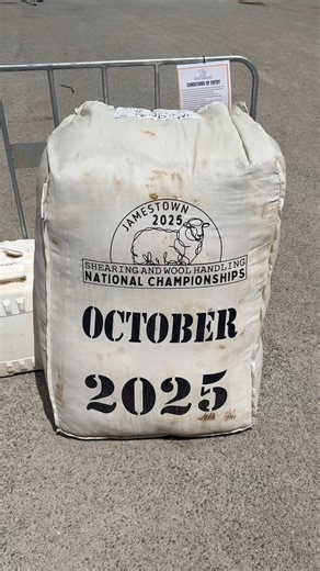 Recap of Team SA 🔵🔴🟡 2025 Shearing & Woolhandling National Championships | Sports Shear South Australia