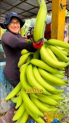 This Banana Plant Is Taller Than a 6-Story Building 🍌😳