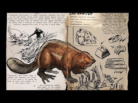 Ark Survival Ascended How to Tame a Castoroides Early Game