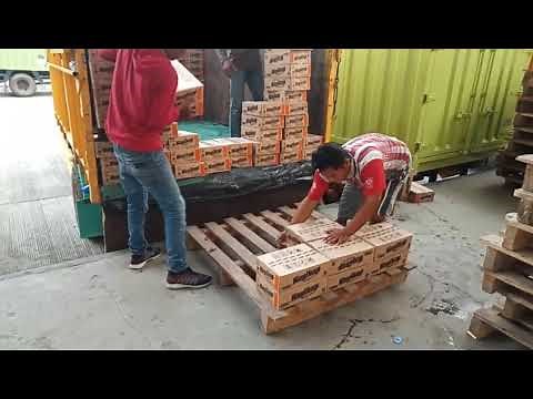 Susunan barang di atas pallet