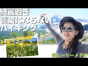 カナディアンロッキーで絶対に行きたいハイキング!! 天空のお花畑を求めて暑い中をひたすら登山した夫婦の週末。【Healy Meadow】