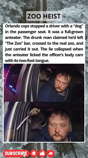 Cops Pull Over a Car With the Weirdest Passenger Ever!