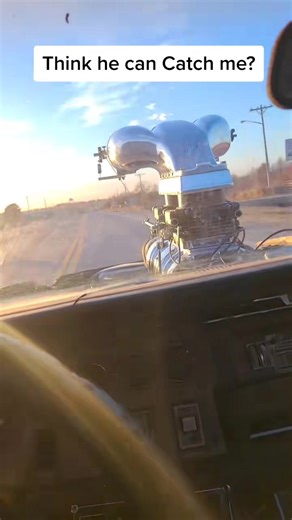 14K views · 438 reactions | Trailer Park Ferrari vs Cop Car #foryoupage | Westen Wptalk | Facebook