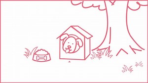 6.9K views · 240 reactions | A dog is the only thing on earth that...