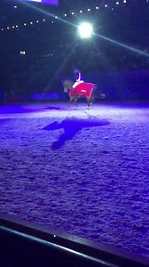 Nicole Pavitt wins the Connolly's RED MILLS Senior Newcomers Championship! | Horse of the Year Show