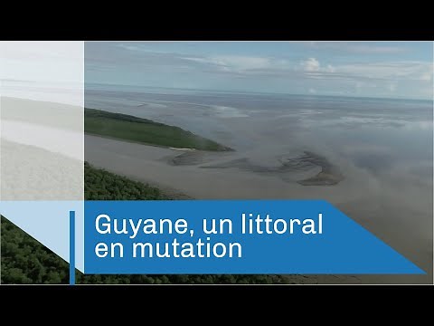 Guyane, un littoral en mutation | Reportage CNRS