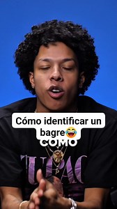 194K views · 6.4K reactions | Cómo identificar un bagre 2 #novelpoppys #foryouシ #fyp | Novelpoppy | Facebook