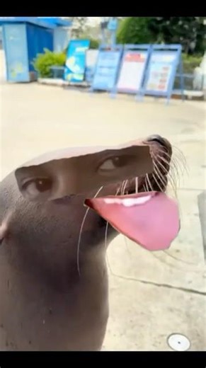 Funny Videos of Minecraft Sound Effects 17 #funnyvideo #minecraft #fail #funny #failgag