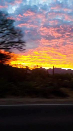 Arizona sunrises are just as good as our sunsets.✌️Repost: @thearizonadrone----#reelstagram #reelsitfeelsit #cinematicreels #reelsexplore #reelsviral #reelsinstagram #sunrise #colorpop #igcolor #arizona | Visit Tucson