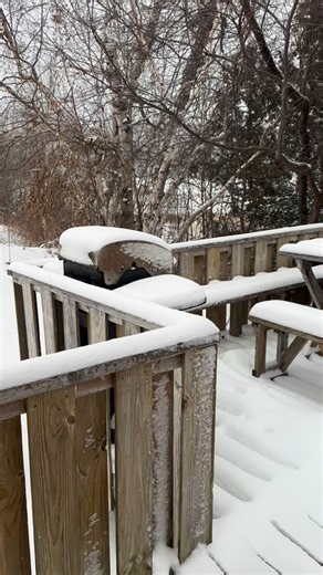 Come see Cabin #1! If you’ve stayed in this cabin in the past you might not recognize it today! | Elk Lake Wilderness Resort
