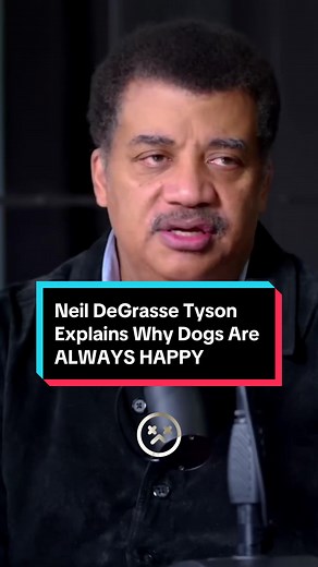 Why Dogs Are Always Happy Explained by Neil DeGrasse Tyson