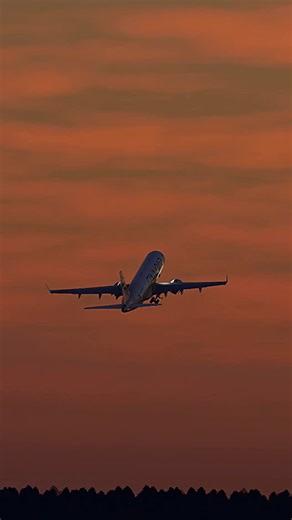 Flight Playground | MSFS on Instagram: "Highlights from Microsoft Flight Simulator reels from this week! Follow @flight.playground for daily flight sim adventures ✈️✈️ #msfs #flightsim #flightsimulator #airliners #aviationdaily #avgeeks"