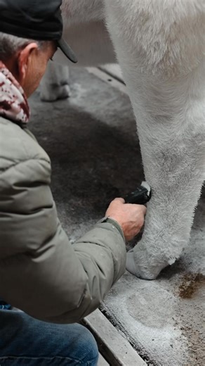 We are having fun at the NCC Fall Edition in Kearney, Nebraska! | Nebraska Classic