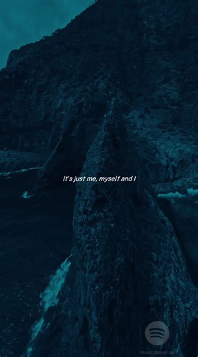 Me myself and I>>#lyric #music #musicvibes #memyselfandi