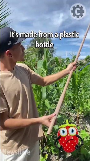 DIY Fruit picker is so easy to make
