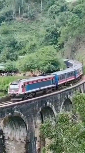 Iconic views of srilankas Nine Arches Bridge. A perfet blend of nature and history 💟🌿