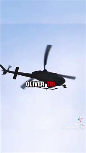 Oliver tree