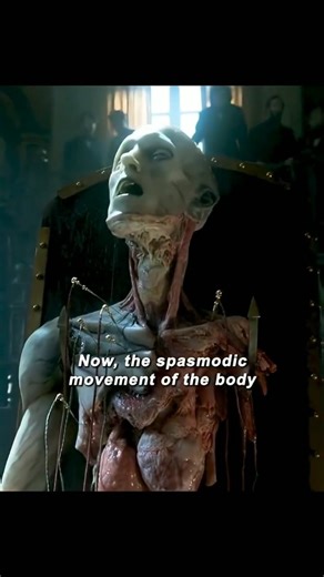 official_hnboy76 | Victor Frankenstein 🧟‍♂️⚡️ ​Details ​Director: Paul McGuigan ​Genre: Sci-Fi / Horror / Drama ​Runtime: 1 hour 50 minutes ​Language: English... | Instagram