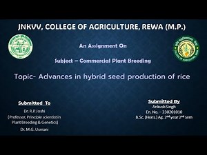 Advances in hybrid seed production of rice